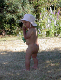 Img9059