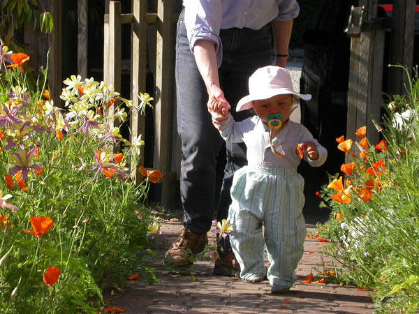 Img6207