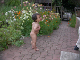 Img6429