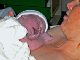 IM003694_edited-1