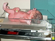 IM003714_edited